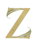 Z
